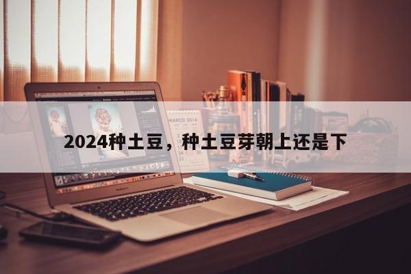 2024种土豆，种土豆芽朝上还是下