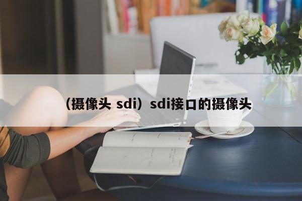 (摄像头 sdi)sdi接口的摄像头