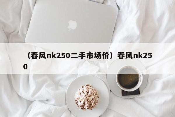 （春风nk250二手市场价）春风nk250