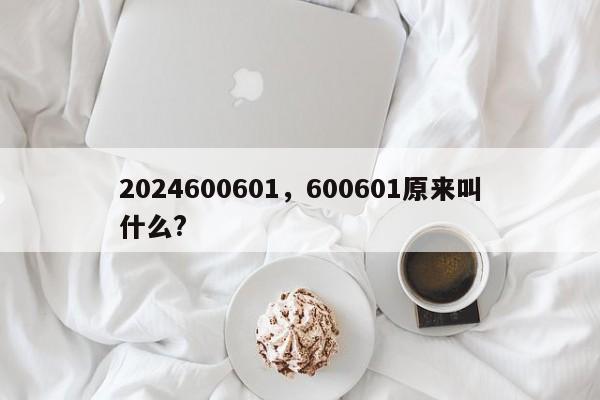 2024600601，600601原来叫什么?