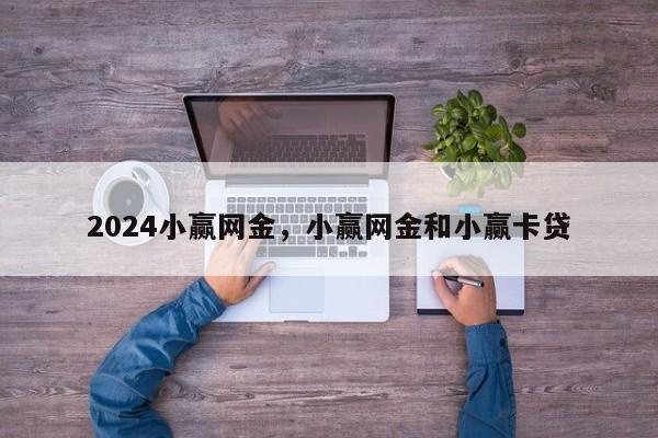 2024小赢网金，小赢网金和小赢卡贷