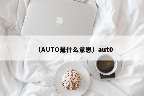 （AUTO是什么意思）aut0