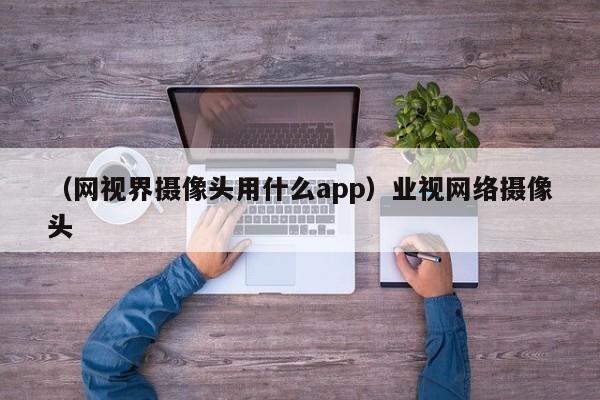 （网视界摄像头用什么app）业视网络摄像头