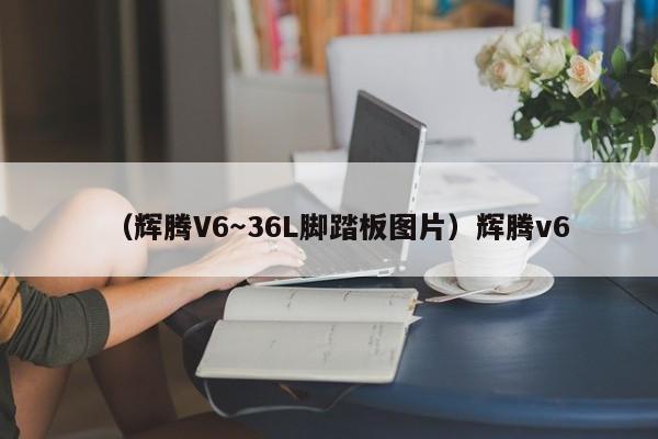 （辉腾V6～36L脚踏板图片）辉腾v6