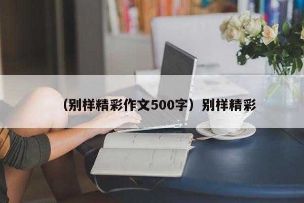 （别样精彩作文500字）别样精彩