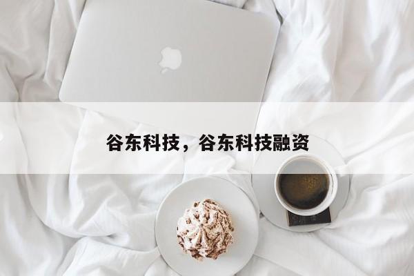 谷东科技，谷东科技融资