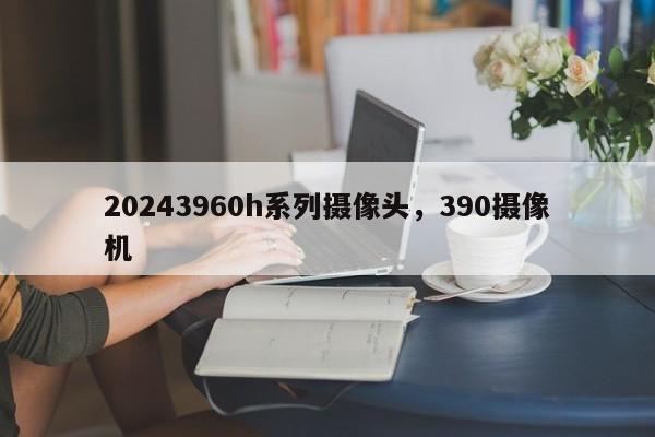 20243960h系列摄像头，390摄像机