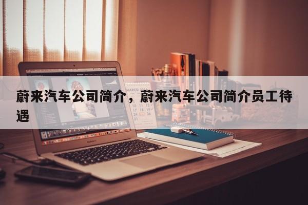 蔚来汽车公司简介，蔚来汽车公司简介员工待遇