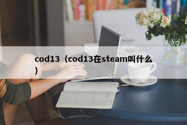 cod13（cod13在steam叫什么）