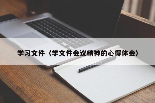 学习文件（学文件会议精神的心得体会）