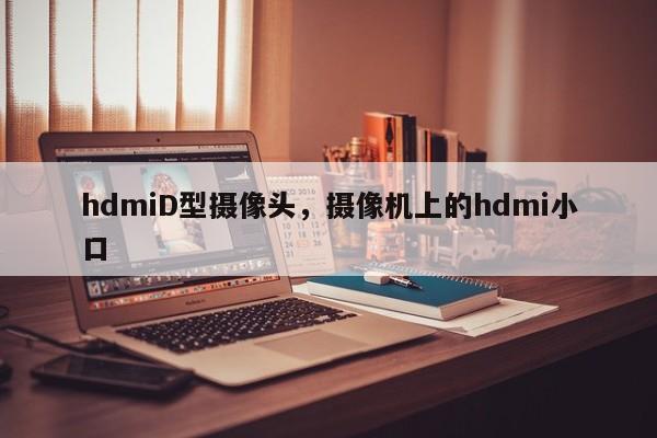 hdmiD型摄像头，摄像机上的hdmi小口