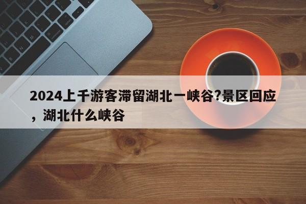 2024上千游客滞留湖北一峡谷?景区回应，湖北什么峡谷