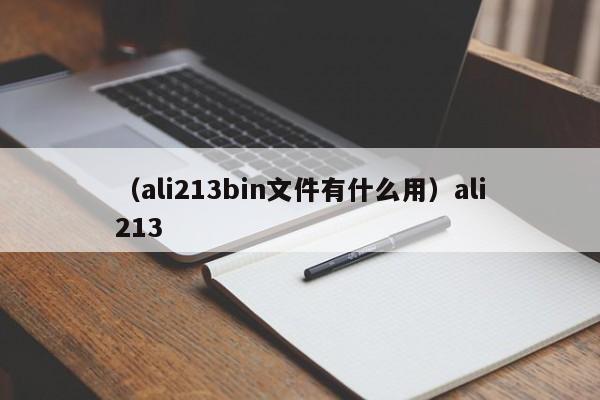 （ali213bin文件有什么用）ali213