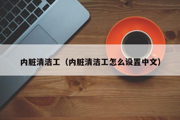 内脏清洁工（内脏清洁工怎么设置中文）