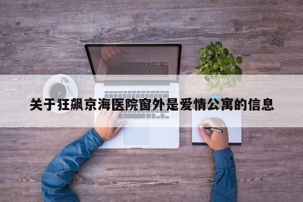 关于狂飙京海医院窗外是爱情公寓的信息