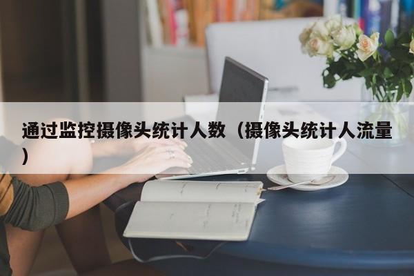 通过监控摄像头统计人数（摄像头统计人流量）