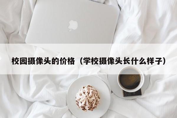 校园摄像头的价格（学校摄像头长什么样子）