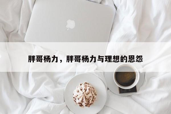 胖哥杨力，胖哥杨力与理想的恩怨