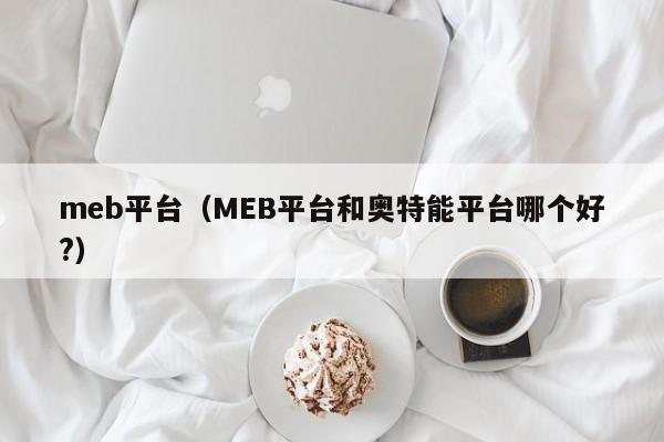 meb平台（MEB平台和奥特能平台哪个好?）