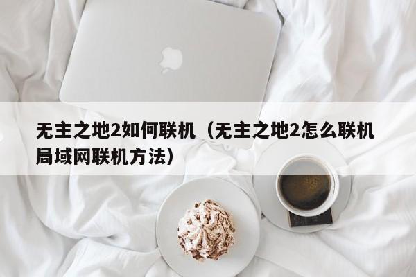 无主之地2如何联机（无主之地2怎么联机 局域网联机方法）