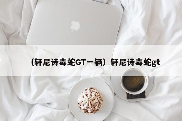 （轩尼诗毒蛇GT一辆）轩尼诗毒蛇gt