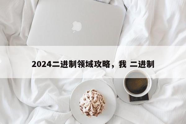 2024二进制领域攻略，我 二进制