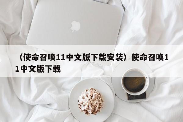 （使命召唤11中文版下载安装）使命召唤11中文版下载