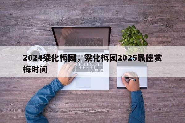 2024梁化梅园，梁化梅园2025最佳赏梅时间